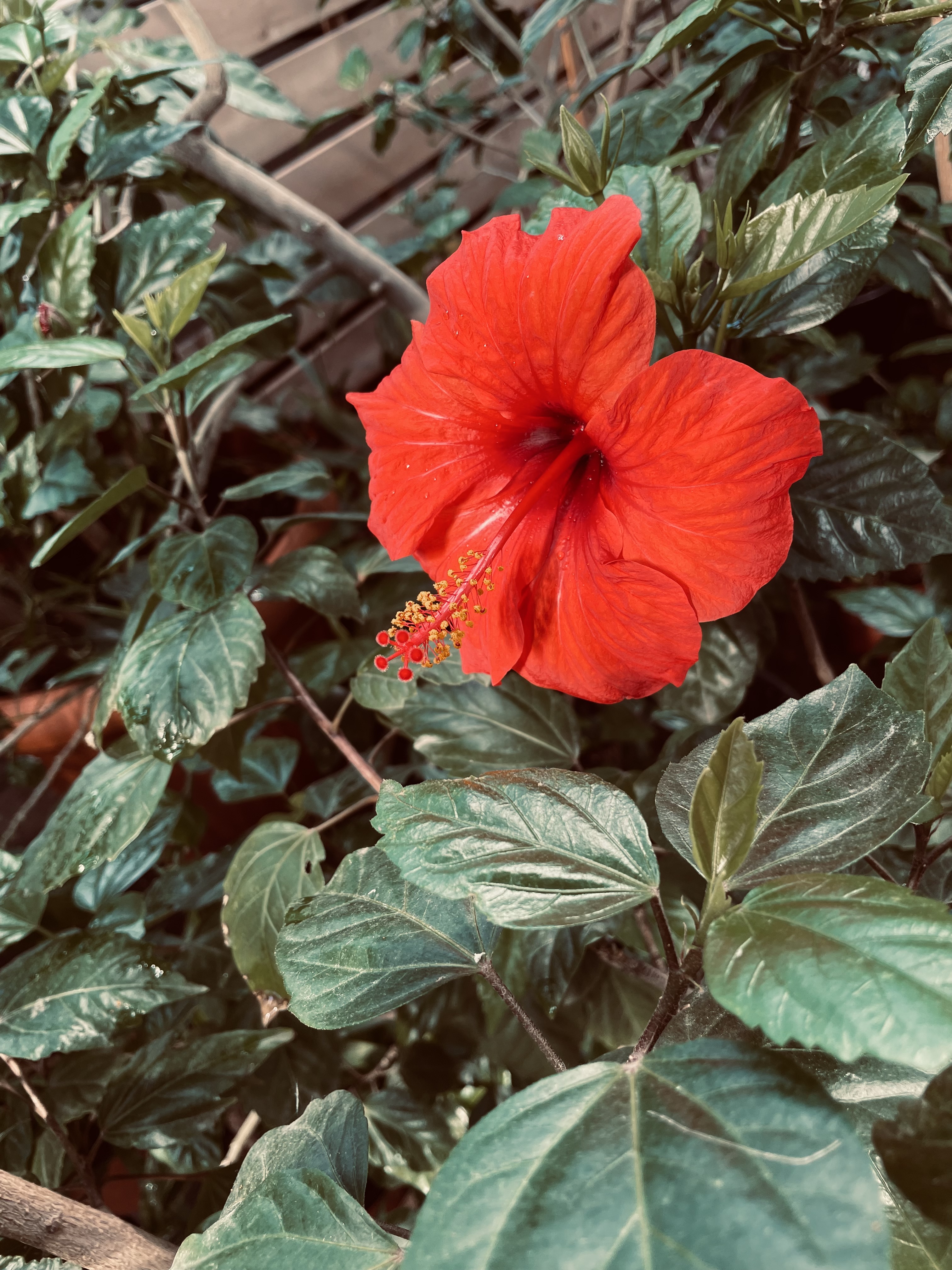 Фото